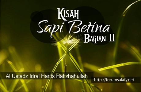 Kisah Sapi Betina (Bagian ke Dua)