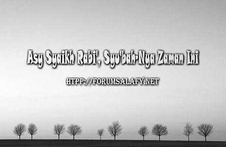 Asy Syaikh Rabi’, Syu’bah-Nya Zaman Ini