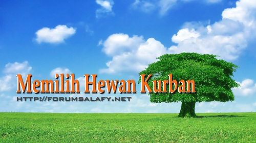 Memilih Hewan Kurban