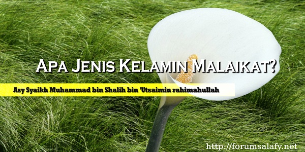 Apa Jenis Kelamin Malaikat?