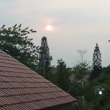 Tugas Akal Dalam Islam